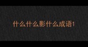 什么什么影什么成语
