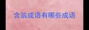 含翁成语有哪些成语