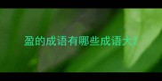 盈的成语有哪些成语大