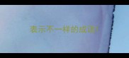 表示不一样的成语