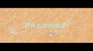 药什么除的成语