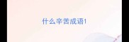 什么辛苦成语
