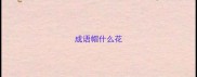 成语帽什么花
