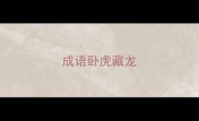 成语卧虎藏龙