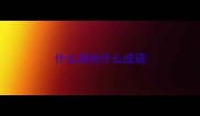 什么扬光什么成语