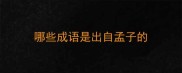 哪些成语是出自孟子的