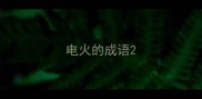电火的成语