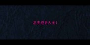 龙虎成语大全
