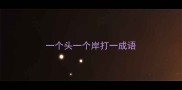 一个头一个岸打一成语