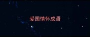 爱国情怀成语