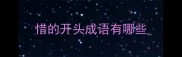 惜的开头成语有哪些
