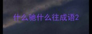 什么驰什么往成语