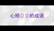 心照的成语
