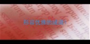 形容优雅的成语