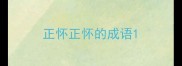 正怀正怀的成语