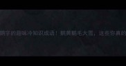 10个包含鹅字的趣味冷知识成语鹅黄鹅毛大雪这些你真的知道吗