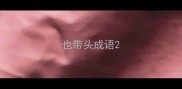 也带头成语