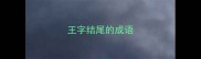 王字结尾的成语