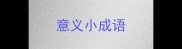 意义小成语