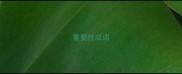 重要性成语