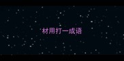 材用打一成语