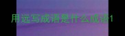 用远写成语是什么成语