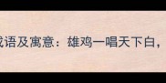 10个包含公鸡的成语及寓意雄鸡一唱天下白司晨之鸡显担当