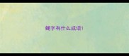 蝇字有什么成语