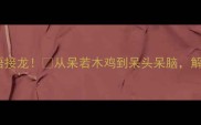 呆字开头超好玩的成语接龙从呆若木鸡到呆头呆脑解锁古文趣味学习法