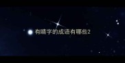 有睛字的成语有哪些