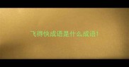 飞得快成语是什么成语