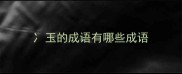 冫玉的成语有哪些成语