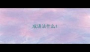 成语法什么