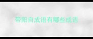 带阳自成语有哪些成语