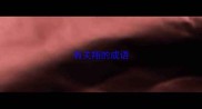 有关翔的成语