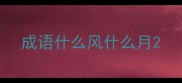 成语什么风什么月