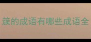 簇的成语有哪些成语全