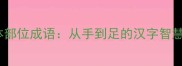 50个常见身体部位成语从手到足的汉字智慧与文学密码