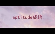 aptitude成语