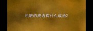 机敏的成语有什么成语