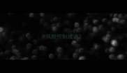 风险控制成语