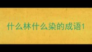 什么林什么染的成语