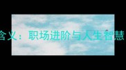 长袖善舞的深层含义职场进阶与人生智慧附实用技巧