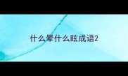 什么晕什么眩成语