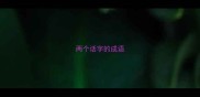 两个话字的成语