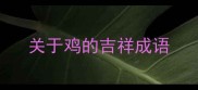 关于鸡的吉祥成语