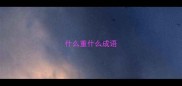 什么重什么成语