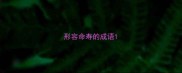 形容命寿的成语