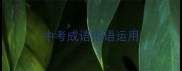 中考成语俗语运用