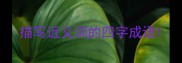 描写近义词的四字成语